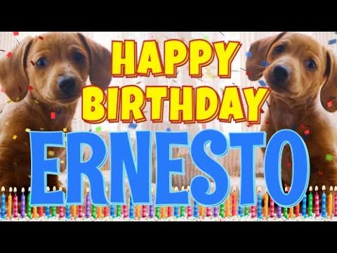 Happy Birthday Ernesto! ( Funny Talking Dogs ) What Is Free On My Birthday