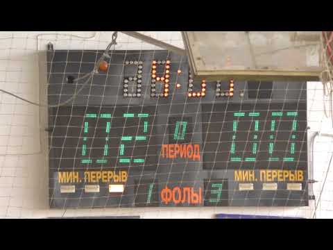 11 Angry Bees - Tigers