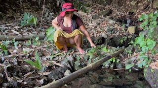 Download lagu CHANA LIMBATA | IT TURNS OUT THAT THIS IS THE NEST OF THE CHANA LIMBATA FISH, A FISH THAT WAS VIR... mp3 Download lagu CHANA LIMBATA | IT TURNS OUT THAT THIS IS THE NEST OF THE CHANA LIMBATA FISH, A FISH THAT WAS VIR... mp3