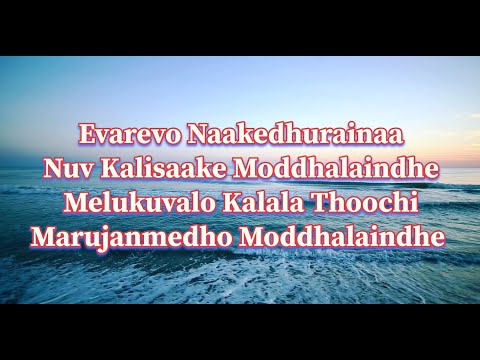 Evarevaro Lyrics | Animal | Telugu Song - Evarevaro (Audio)