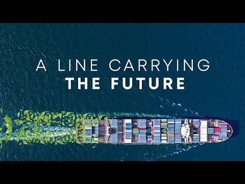 Arkas Line: Connecting the World with Premium Service