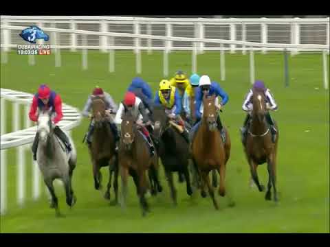 Qipco Champion Stakes G1 - 21\10\2017 - Cracksman