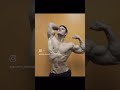 Jeff Seid S Insane Olympia Shred