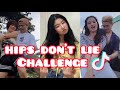 HIPS DONT LIE Remix Tiktok Challenge Shakira Hips Don T Lie