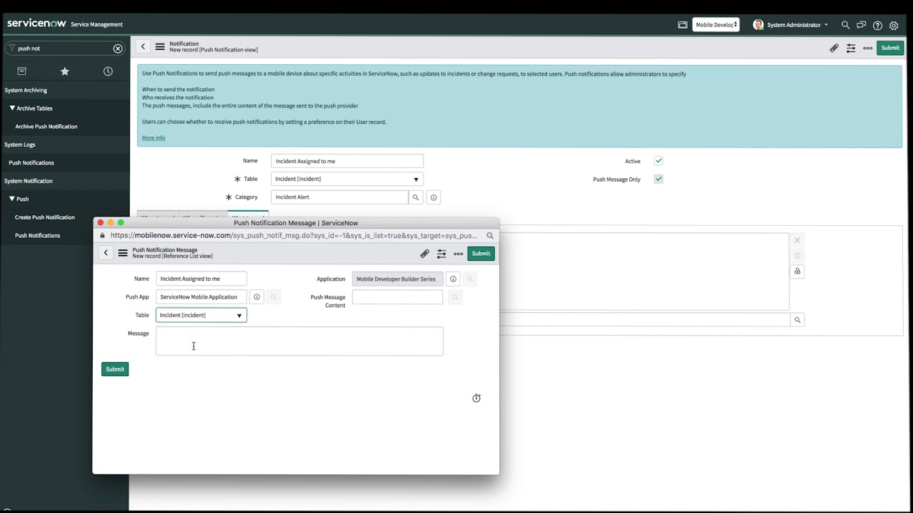 Mobile Developer Fundamentals - Custom Push Notification
