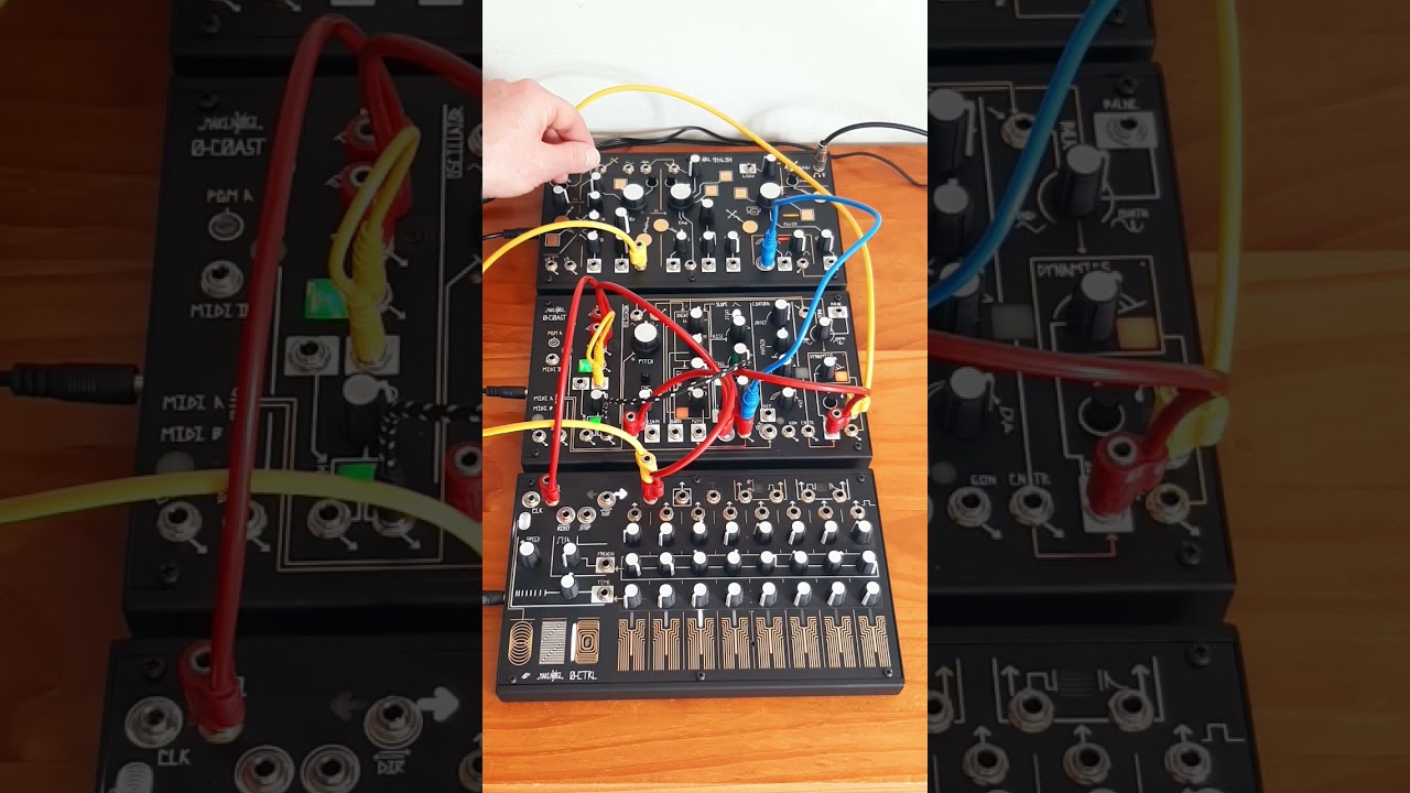 Make Noise Music Easel (0coast & 0ctrl & Strega!) Equipment lines