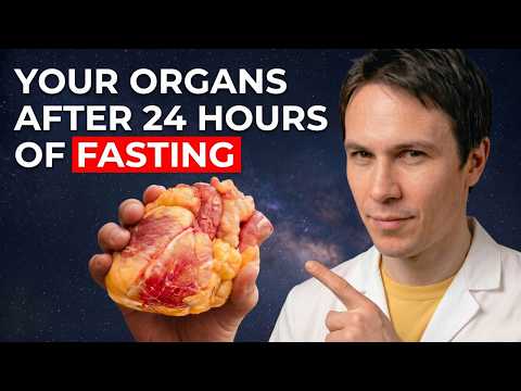 What Happens to Your Organs If You Fast for 24 Hours? (Science Explained)