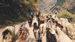 preview picture of video 'Annapurna Circuit with Tilicho Lake Trek || Nov 2016'
