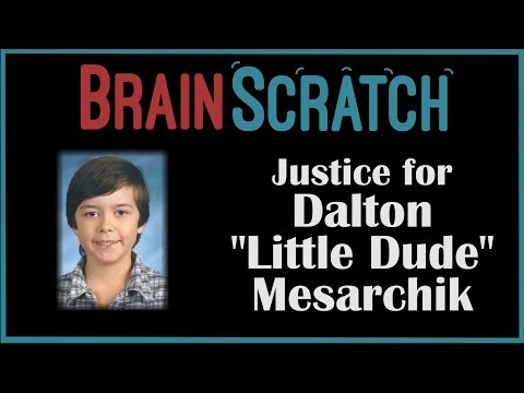 BrainScratch: Justice for Dalton "Little Dude" Mesarchik