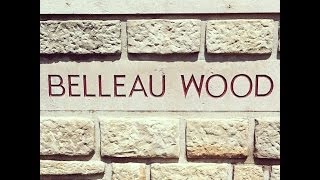 Belleau wood