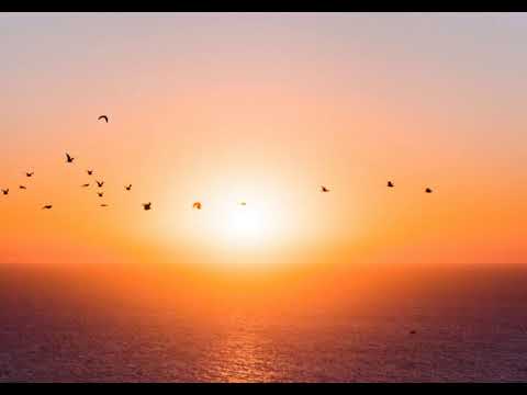 Jose Zamora & Damian DP - Transatlantic (Andy Moor Remix) [432Hz HQ]