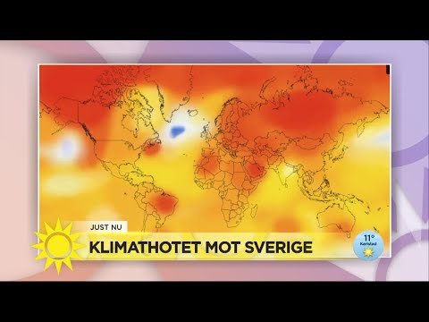 Professorn förklarar blå fläcken i Golfströmmen - Nyhetsmorgon (TV4)
