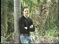 AMC Tarzan Promos Brendan Fraser 1997