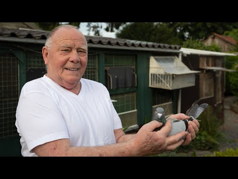 National winners ZLU 2019 - Perpignan: Beckers-Willems (+ English Subtitles)