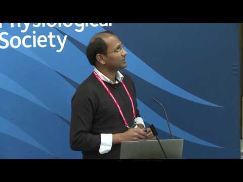 TALEN-mediated genome editing