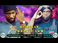 Chronic Law x Ai Milly Mix 2023: 2023 Dancehall Video Mix: Ai Milly x Chronic Law Mix 2023