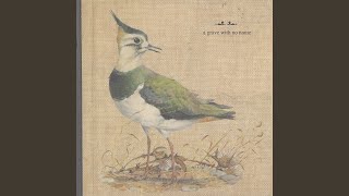 Your Ghost by the Lake