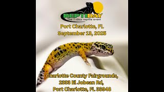 The hognose snakes I'm bringing to the Port Charlotte Repticon