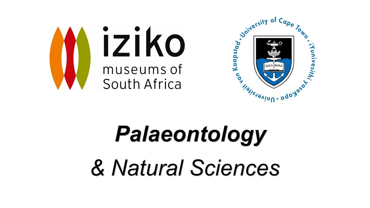 Iziko Museums’ unique collections help UCT students with their postgrad research