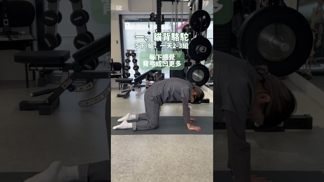 📢 孕產婦運動系列|脊椎三方向伸展,緩解腰痠背痛!