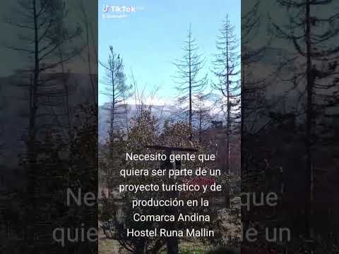 Permacultura Comarca Andina El Bolson Rio Negro querés ser parte ? #motivacion #frases  #naturaleza