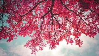 What So Not - Adieu (Extended Version)