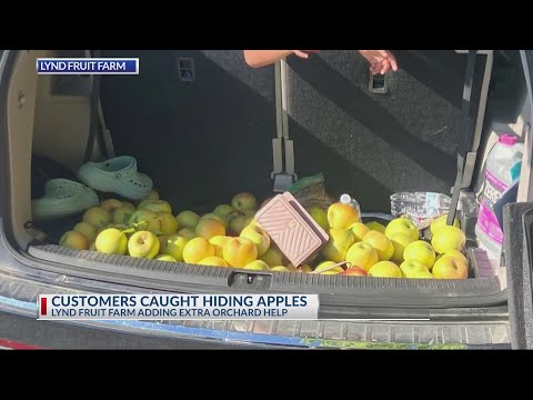 Customers caught stealing apples from central Ohio orchard