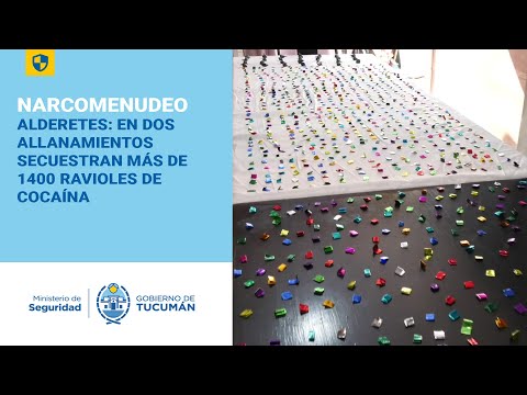 ALDERETES: EN DOS ALLANAMIENTOS SECUESTRAN MÁS DE 1400 RAVIOLES DE COCAÍNA