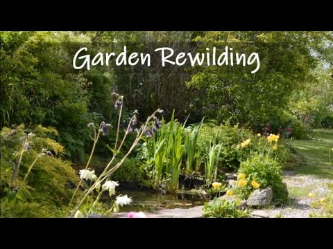 Garden Rewilding