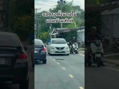 ลุงใจดีลงจากรถช่วยงูข้ามถนน