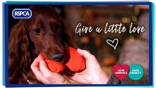 Give a Little Love - The RSPCA Christmas Video 2016