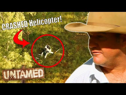 Helicopter Gets Wrecked In The Middle Of The Outback! 🚁 | Keeping Up With The Joneses Clip | Untamed