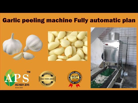 Automatic Garlic Skin Remover Machine