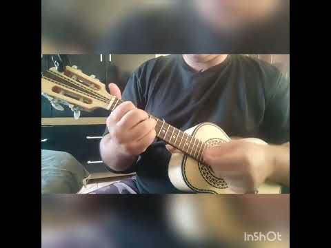 Saudade Também É Amor - Netto Companny