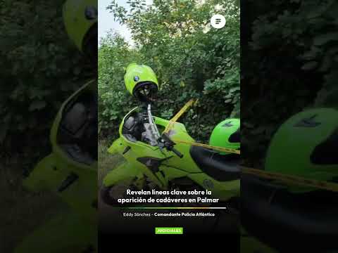 Triple homicidio sacude al Atlántico: cuerpos abandonados en zona rural de Palmar de Varela