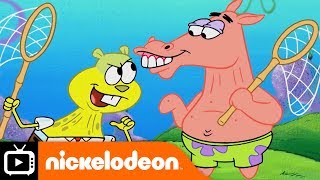 SpongeBob SquarePants | Sandy and the Jellyfish | Nickelodeon UK