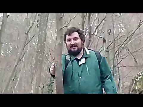 Vlog - Šuma - Zagreb