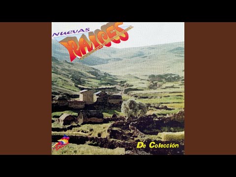 A Bolivia - Nuevas Raices