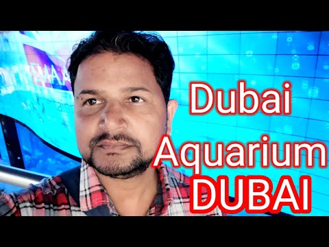 Big Aquarium in Dubai, Several Fishes in Dubai Mall, Dubai, Punjabi in Dubai, Punjabi Vlogs