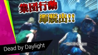【DBD】集団行動すれば一気に脱出！！【生放送】