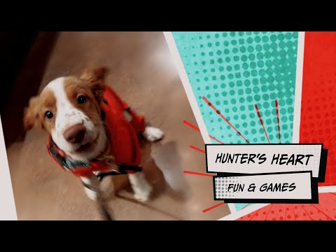 2023 Fun and Sniffing Games | Hunter's Heart Scent Detection Dog Training