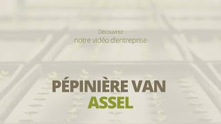 preview picture of video 'Pépinières Van Assel : Plantation de peupliers feuillus à Travecy 02'