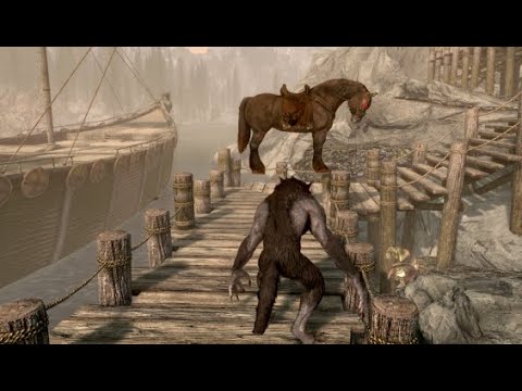 Skyrim Funny Moments Montage