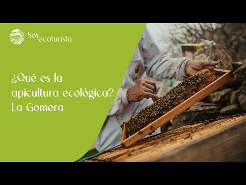 ¿Qué es la apicultura ecológica? La Gomera