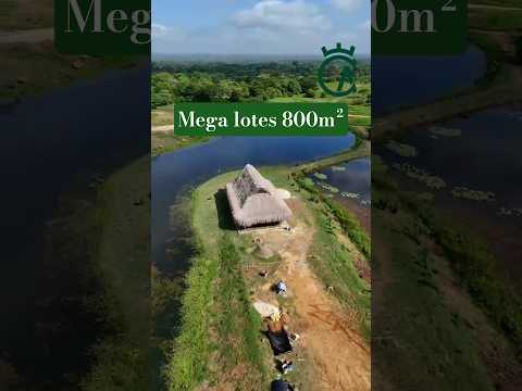 Campo Alegre - Arjona Bolivar - tel +57 3146480528