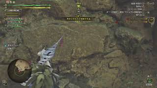 PS5気持ちは毎日配信 #初心者 #参加型 # #モンハンワイルズ参加型 もう10月！？  10.1