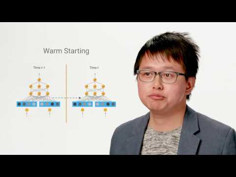 The Anatomy of a Production-Scale Continuously-Training Machine Learning Platform