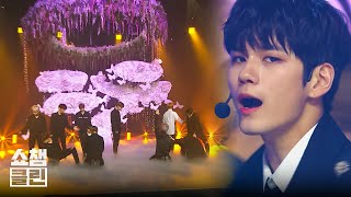 [덕질캡처용♥CLEAN] 워너원 - 봄바람 (Wanna One - Spring Breeze) l #쇼챔피언 l EP.294