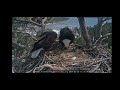 NESTFLIX JACKIE ORDERS LUNCH SHADOW DELIVERS 2 28 26 FOBBVCAM
