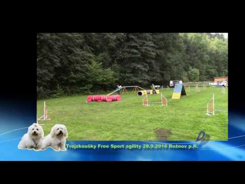 Beatrise a Diky od Rabářských stavů Trojzkoušky agility Rožnov p.R. 28.9.2016